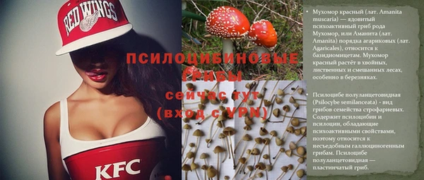дмт Белокуриха