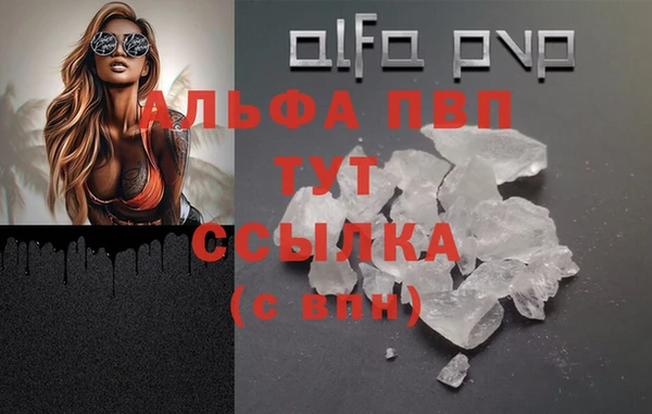 стафф Беломорск